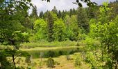 Tour Wandern Séchilienne - Réserve naturelle du lac Luitel - Photo 5