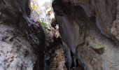 Trail Walking Le Revest-les-Eaux - Grottes de la Ripelle Mt Combe - Photo 3