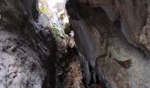 Excursión Senderismo Le Revest-les-Eaux - Grottes de la Ripelle Mt Combe - Photo 3