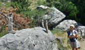 Excursión Senderismo Saint-Michel-de-Chaillol - les balcons du Champsaur - Photo 3