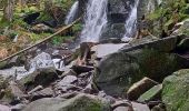 Trail Walking Gérardmer - gerardmer saut de la bourrique cascade merel - Photo 7