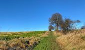 Randonnée Marche Anthisnes - Tavier 22,3 km - Photo 15