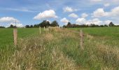 Trail Walking Dinant - FOY GPX BERLAGE - Photo 7