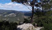 Trail Walking Toulon - Le Faron 12 km-09-04-21 - Photo 6