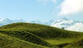 Tour Zu Fuß Crans-Montana - Montagne du Plan - Trubelstock - Photo 4