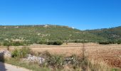 Tour Wandern Sault - ballade du vallat du loup - Photo 8