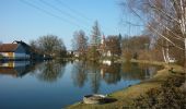 Excursión A pie Kostelní Radouň - Naučná stezka Čertův kámen - Photo 2