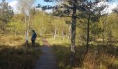 Trail Walking Saint-Régis-du-Coin - tourbière de Gimel - Photo 1