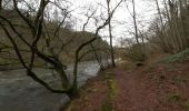 Tour Wandern Stoumont - stpumont - froudcour aller via sentier corniche retour le long de l ambleve - Photo 8