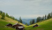 Tour Zu Fuß Strobl - Postalm Rundweg 3 - Photo 7