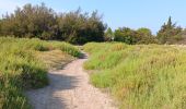 Trail Walking Leucate - mon sentier des pêcheurs via chateau - Photo 6