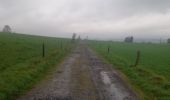 Tocht Stappen Bastenaken - Marche ADEPS à  Bras-Bastogne.10 km essentiellement  boisé. Très beau parcours. Balisage parfait. - Photo 15