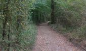 Trail Walking Germond-Rouvre - 2020-09-19  - Photo 2