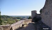 Randonnée Voiture Montricoux - Les Bastides Albigeoises-Puycelsi-Castelnau-St Antonin - Photo 15