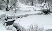 Trail On foot Willingen (Upland) - Hessenweg 6, Abschnitt Willingen - Welleringhausen - Photo 2