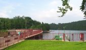 Trail On foot Malmedy - Barrage : Château - Warche - Bayehon - Ovifat - Photo 10