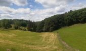 Tour Wandern Esneux - Mery . Bois Manant . Grande Cathédrale . Hayen . Mery - Photo 7