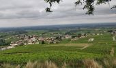 Tour Wandern Fleurie - les vignes de Fleurie - Photo 2