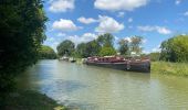 Randonnée Cyclotourisme Avignonet-Lauragais - Canal du Midi - Photo 8