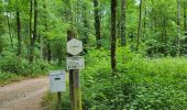 Trail Walking Chimay - Scourmont 070623 - Photo 7
