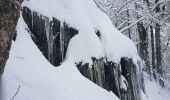 Tocht Stappen Lepuix - Rando raquettes Ballon d'Alsace depuis Saut de la Truite  - Photo 15