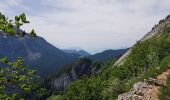 Tour Wandern Saint-Pierre-de-Chartreuse - Le Charmant Som par Le Collet - Photo 2