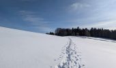 Tocht Stappen Plancher-les-Mines - 2025-01-04 Rando Polaire Dolleren Ballon Alsace Etape 3 - Photo 1