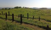 Tour Wandern Carignan - De Carignan à Carignan - Photo 8