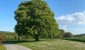 Tocht Lopen Roucy - Running a doucy  - Photo 4