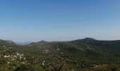 Tour Wandern Montpeyroux - Mont St Baudile  - Photo 1