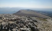 Trail Walking Beaumont-du-Ventoux - ventoux gr4 puis gr9 - Photo 1