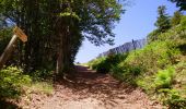 Trail Walking Laveissière - Cantal - le Lioran - Bec de l Aigle - 10.8km 540m 4h55 - 2019 06 26 - Photo 1