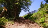 Tocht Stappen Laveissière - Cantal - le Lioran - Bec de l Aigle - 10.8km 540m 4h55 - 2019 06 26 - Photo 1