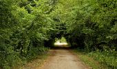 Randonnée Marche Brie-Comte-Robert - Chemin des Roses - Brie-Comte-Robert / Yébles - Photo 2