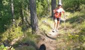 Tour Wandern Châtillon-en-Diois - chatillon en Diois. les oursieres  - Photo 10