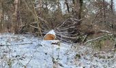 Randonnée Marche Milly-la-Forêt - Boucle autour de Milly La forêt + platières - Photo 10