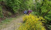 Trail Walking Thann - Thann Rehbrunnel  - Photo 5