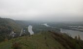 Trail Walking Belbeuf - 20221112-St Adrien - Photo 11