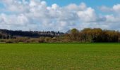 Tour Wandern Brissac-Loire-Aubance - St Saturnin  - Photo 9