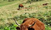 Tour Wandern Mont-Dore - puy de Sancy - Photo 6