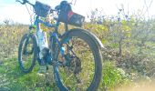 Trail Mountain bike Jussy - Migé - Photo 3