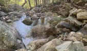 Tour Wandern Palneca - 4 eta gr 20 Col de veldre - Campanelle Ghisoni - Photo 9