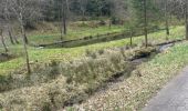 Percorso A piedi Büllingen - Balade des Jonquilles Krinkelt 12 Km - Photo 13