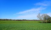 Tocht Stappen Chaumont-Gistoux - #210427 - Longueville, Hèze et Petit Hacquedeau - Photo 15