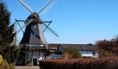 Tour Zu Fuß Tarp - Der Wanderweg entlang der Eulenskulpturen - Photo 7