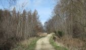 Randonnée A pied Gateshead - Boundary Walk - Photo 4