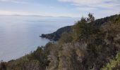 Trail Walking Cavalaire-sur-Mer - CAVALAIRE - Photo 2