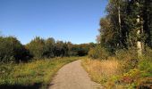 Tocht Stappen Dampleux - en forêt de Retz_82_sur les Routes de la Bruyère aux Loups et de la Chrétiennette - Photo 15