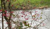 Tour Wandern Somme-Leuze - Somme-Leuze - Photo 5