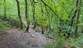 Trail Walking Bouillon - boucle  aventure  - Photo 19